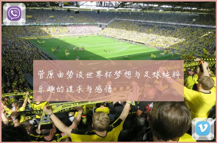 菅原由势谈世界杯梦想与足球纯粹乐趣的追求与感悟